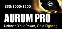 Power Supply - AURUM Pro