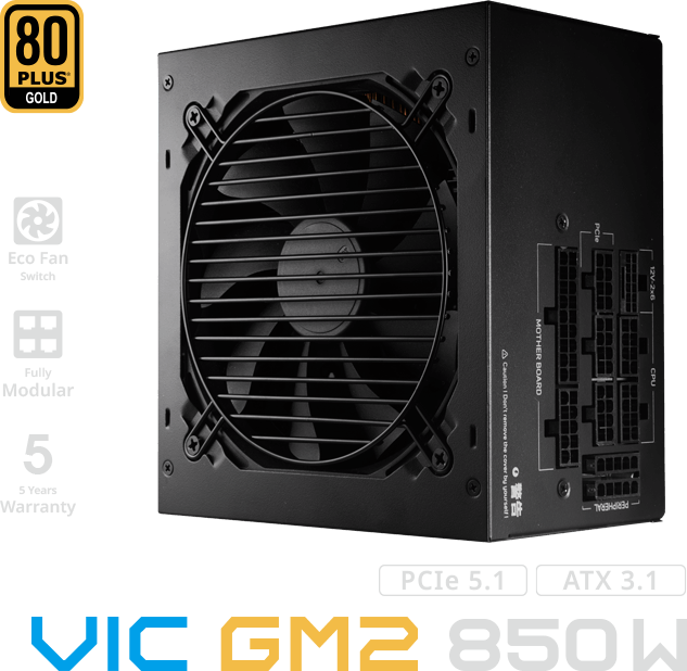 FSP VIC GM2 PSU