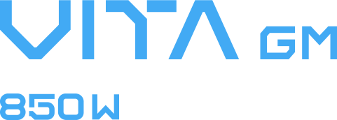 VITA_GM logo