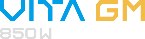 VITA_GM logo